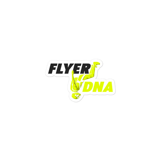 Flyer DNA Stickers